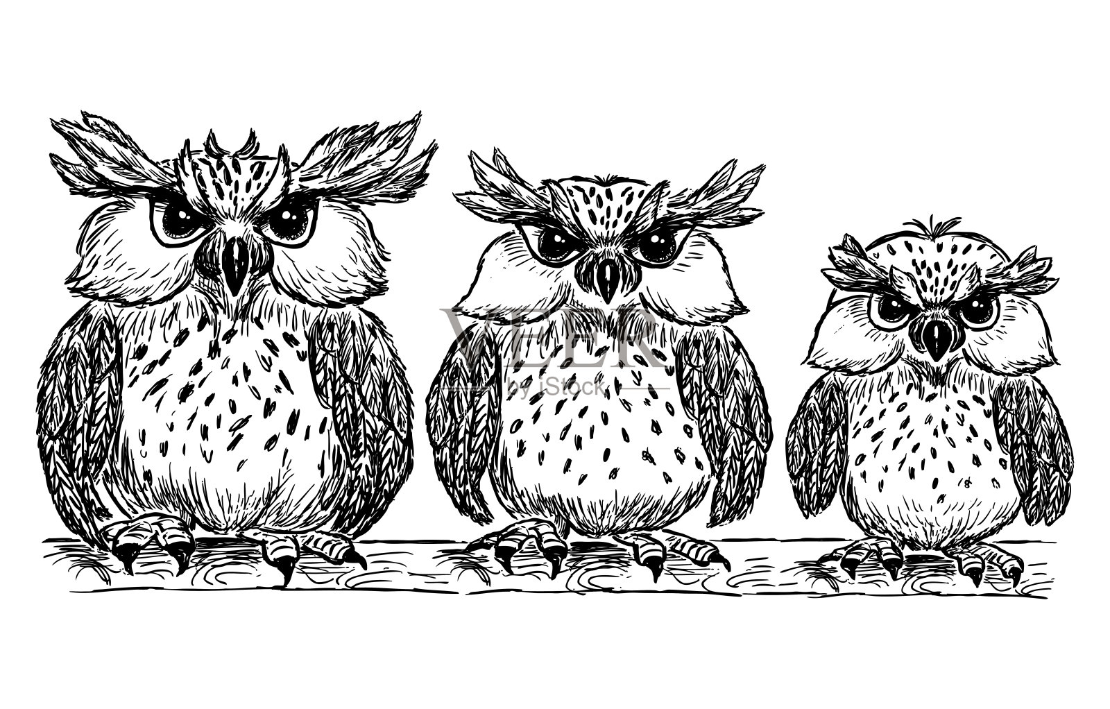 矢量画的一个有趣的卡通猫头鹰家庭设计元素图片