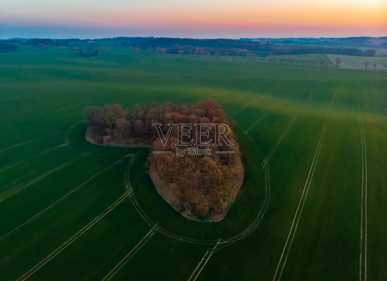 鸟瞰日出时心形的爱情丛林照片摄影图片