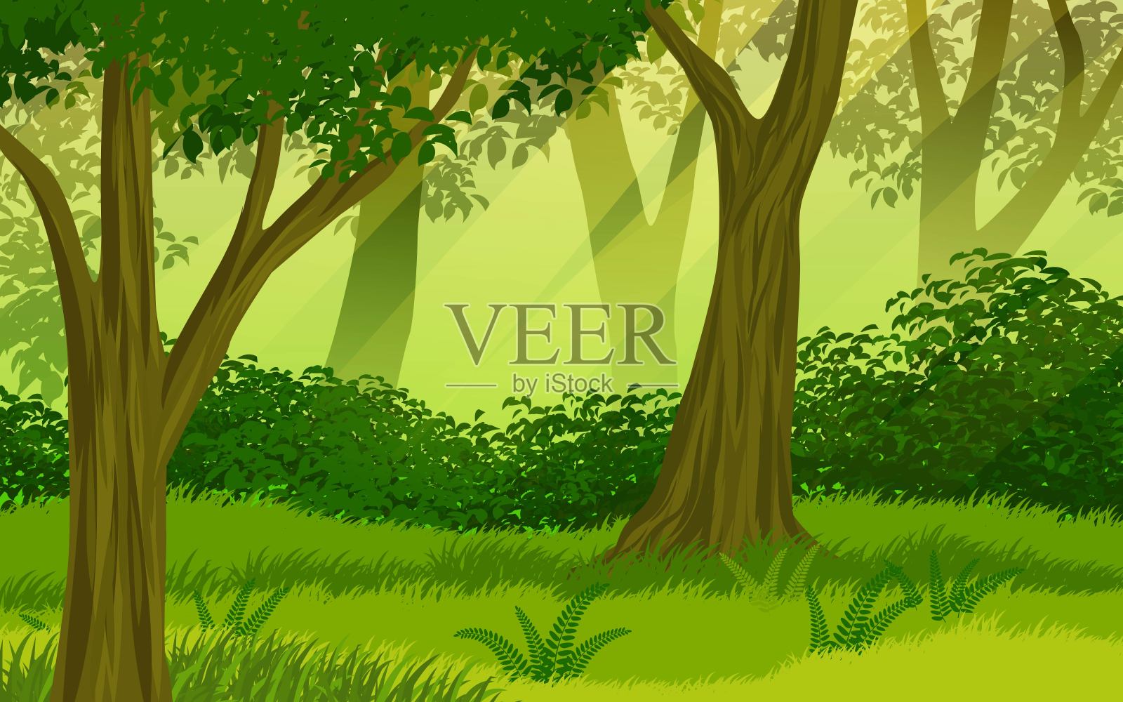 矢量雾森林插图插画图片素材