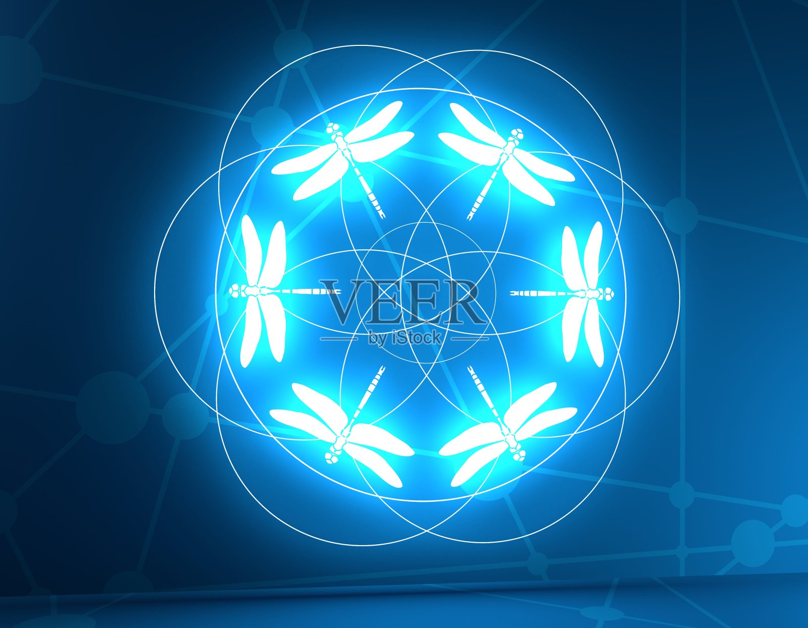 蜻蜓图标图像照片摄影图片