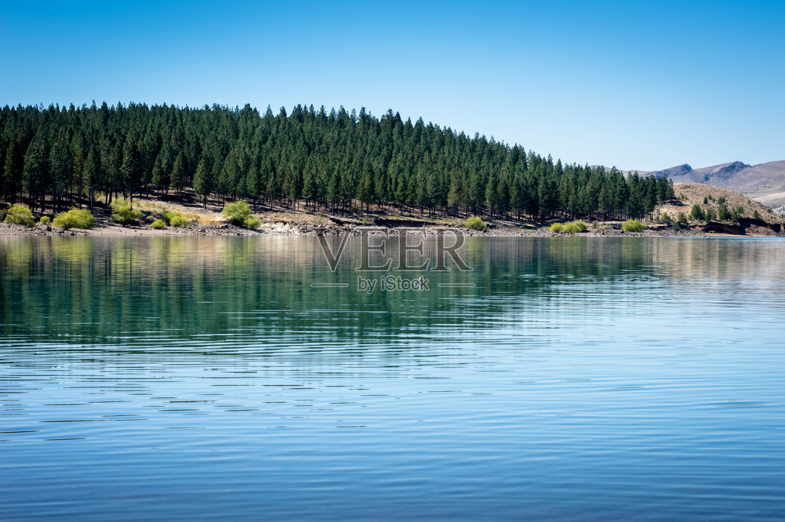 湖泊景观与山脉和松树照片摄影图片
