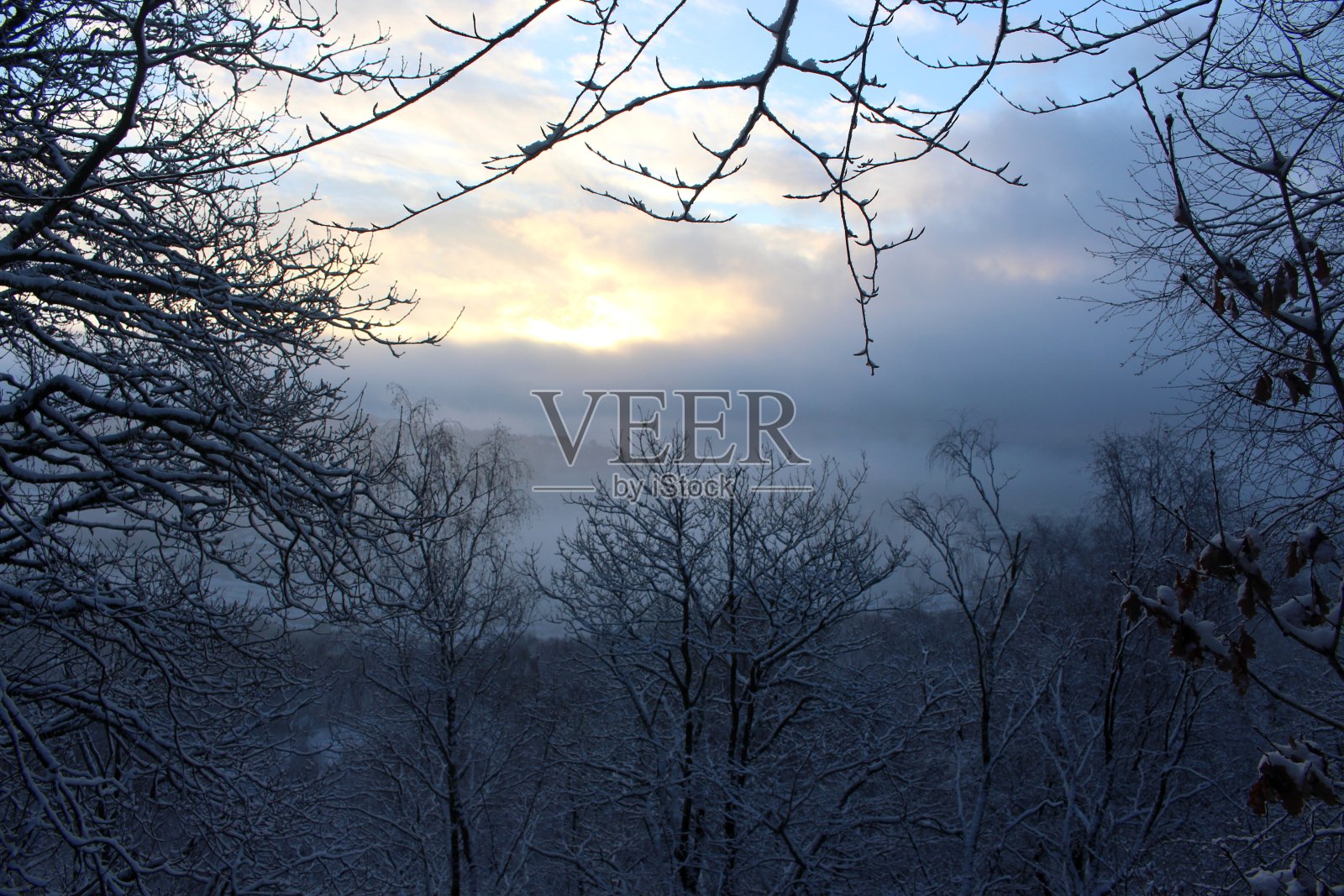 这是一张美丽的冬季森林景观的照片，在大雪后，清晨与生机勃勃的日出照片摄影图片