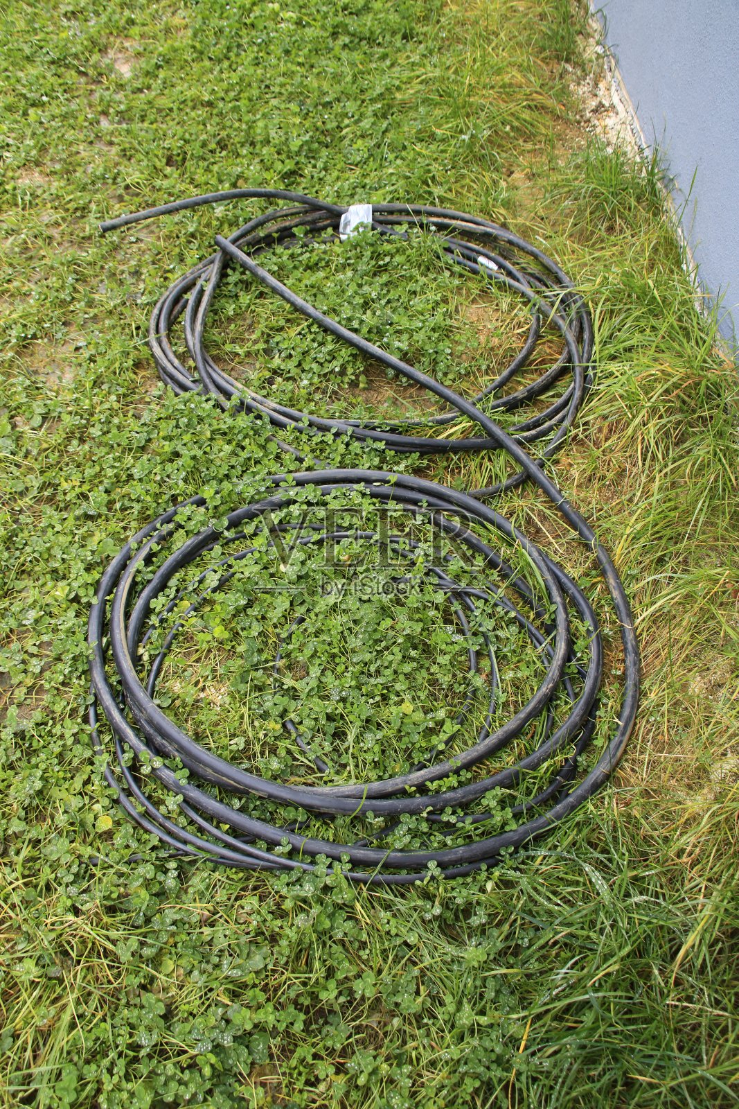 电力电缆以8字形躺在草地上照片摄影图片