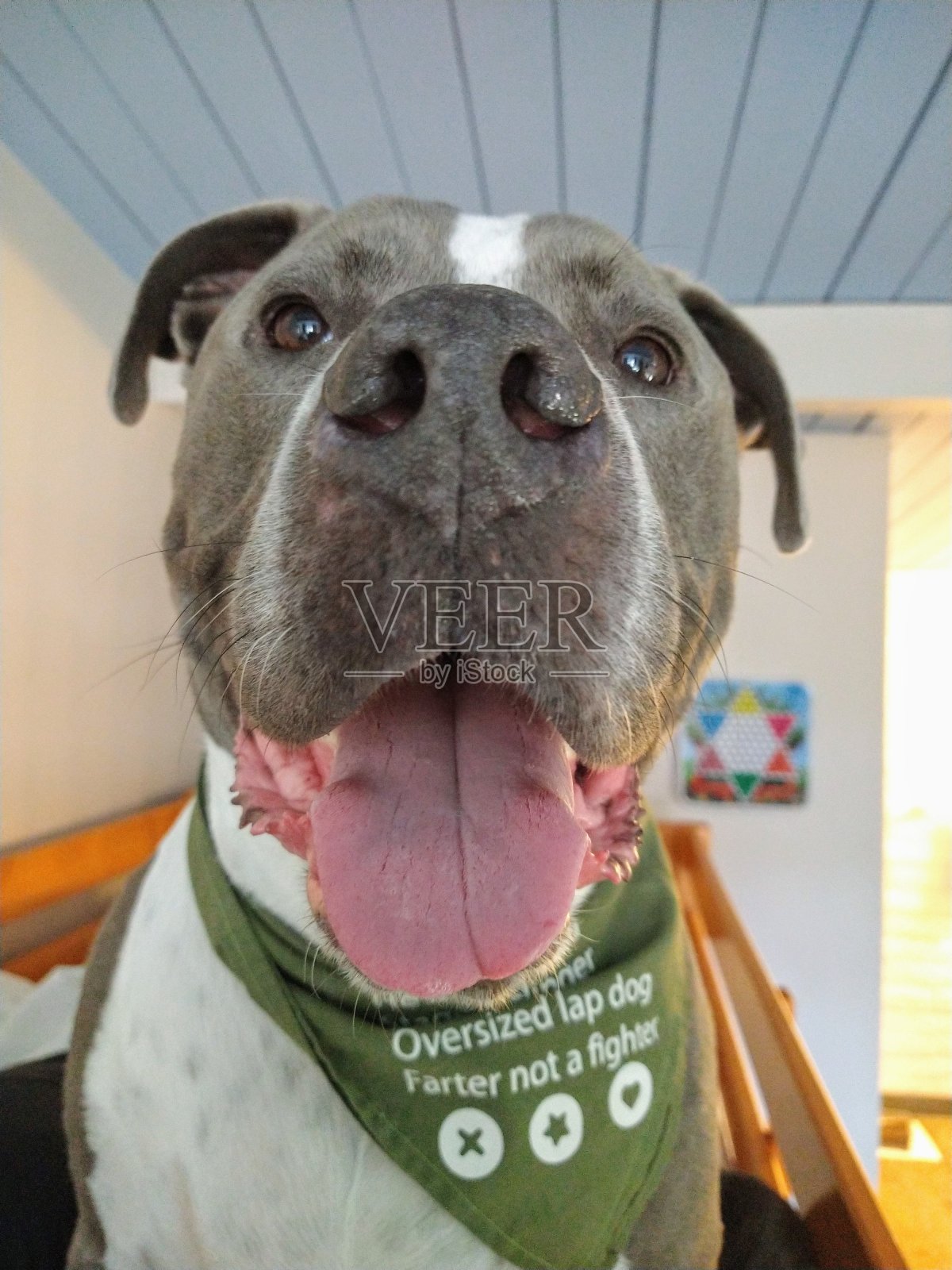 铺位上铺照片摄影图片