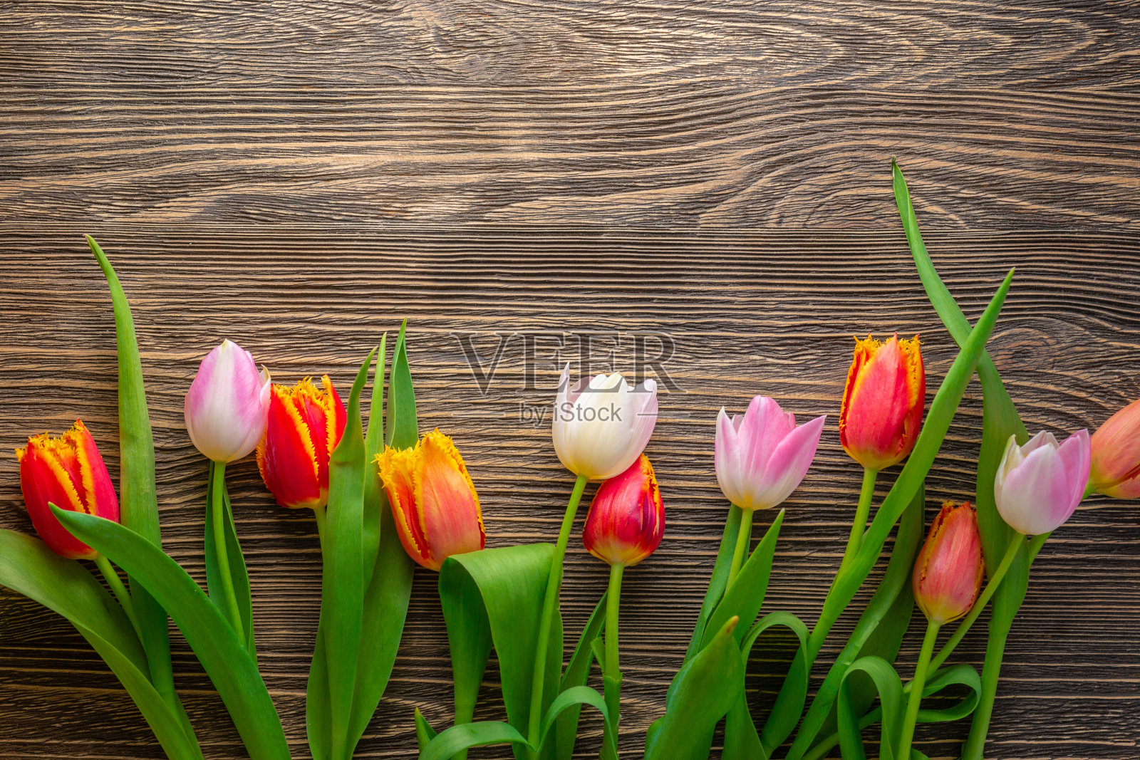 一张木桌上放着郁金香花。春假概念背景。贺卡。照片摄影图片