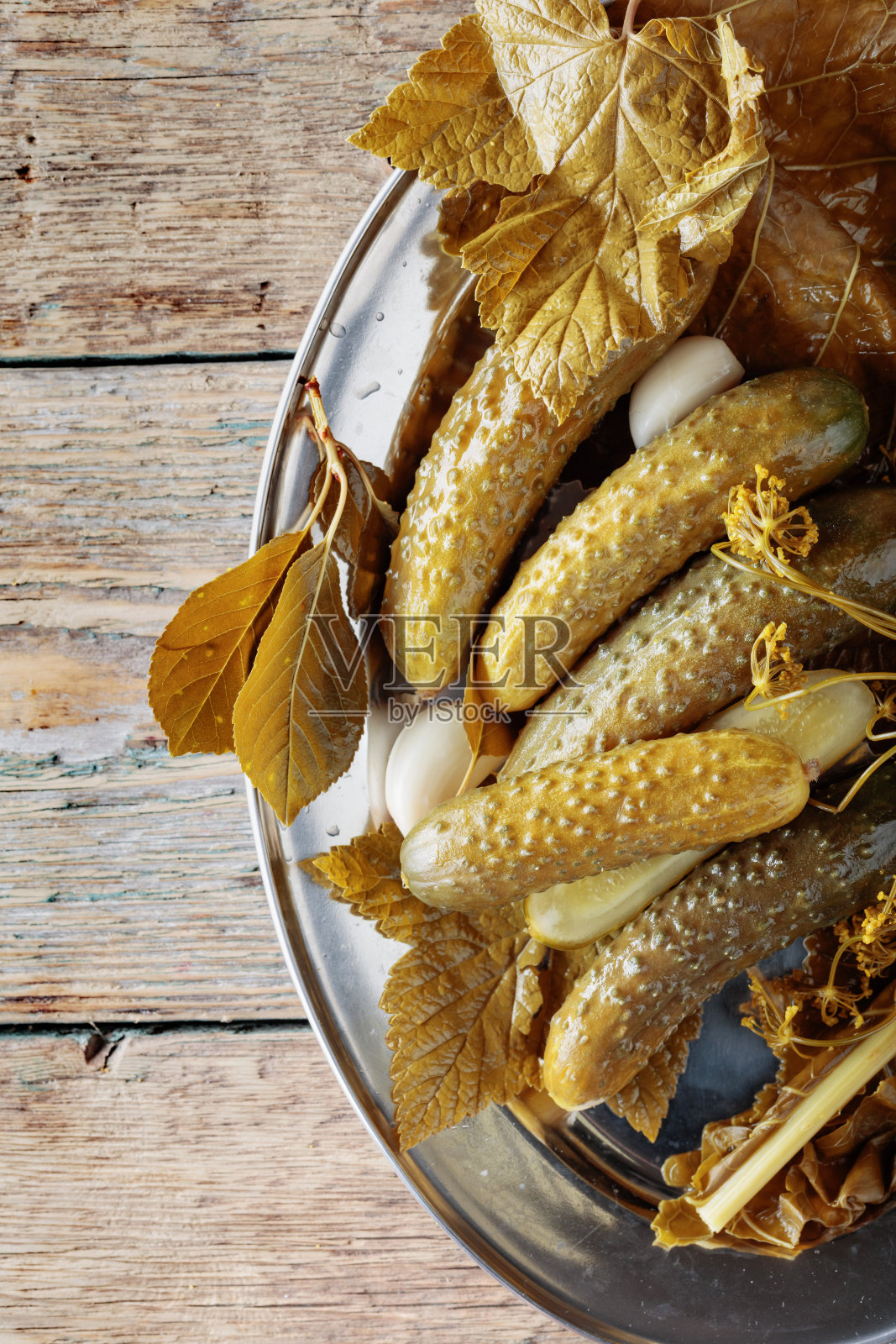 自制盐水腌黄瓜。照片摄影图片