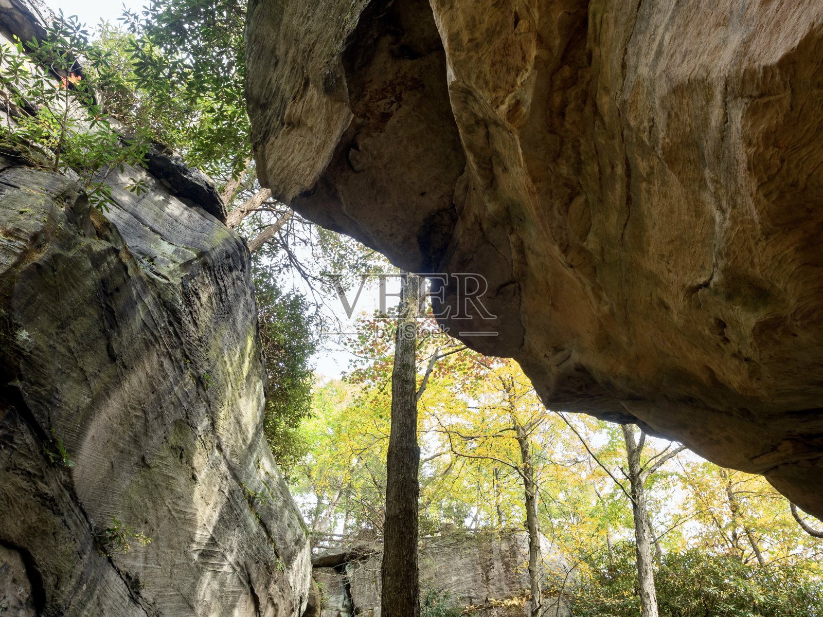 库伯斯岩石州立森林在西弗吉尼亚州的秋天与俯瞰和山树的背景，徒步小径和树木，甚至日落照片摄影图片