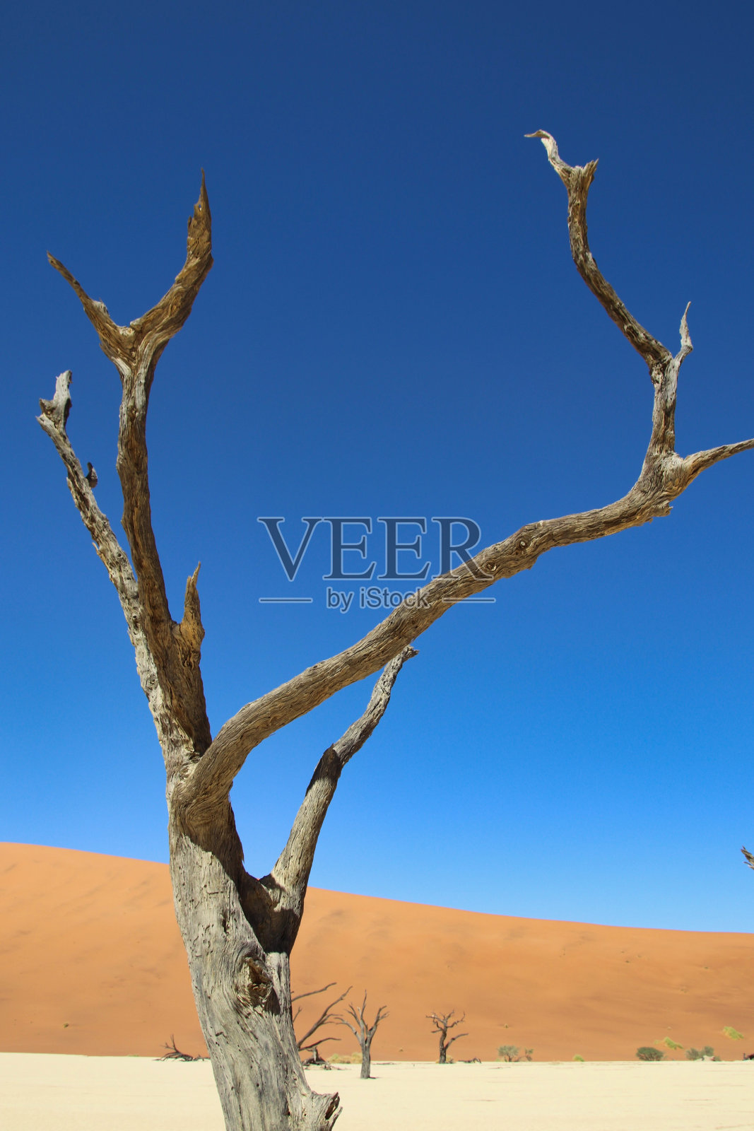 死谷-索苏斯韦莱，纳米比亚，非洲照片摄影图片