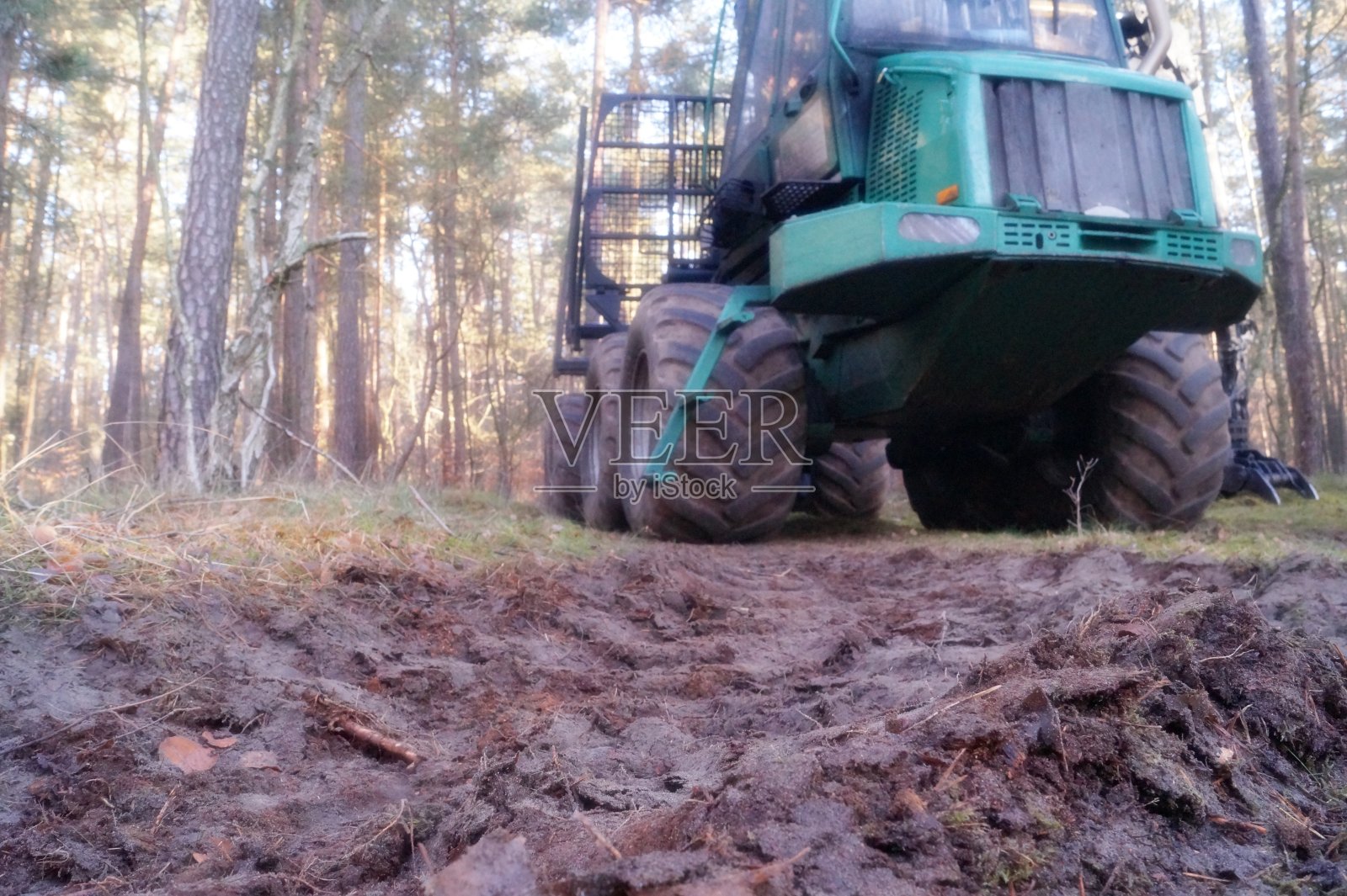 "货代"在森林里工作照片摄影图片