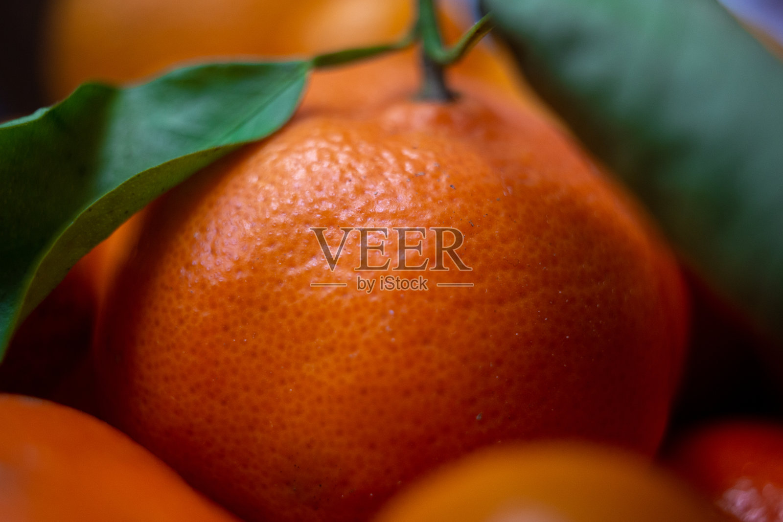 橙子和金橘照片摄影图片