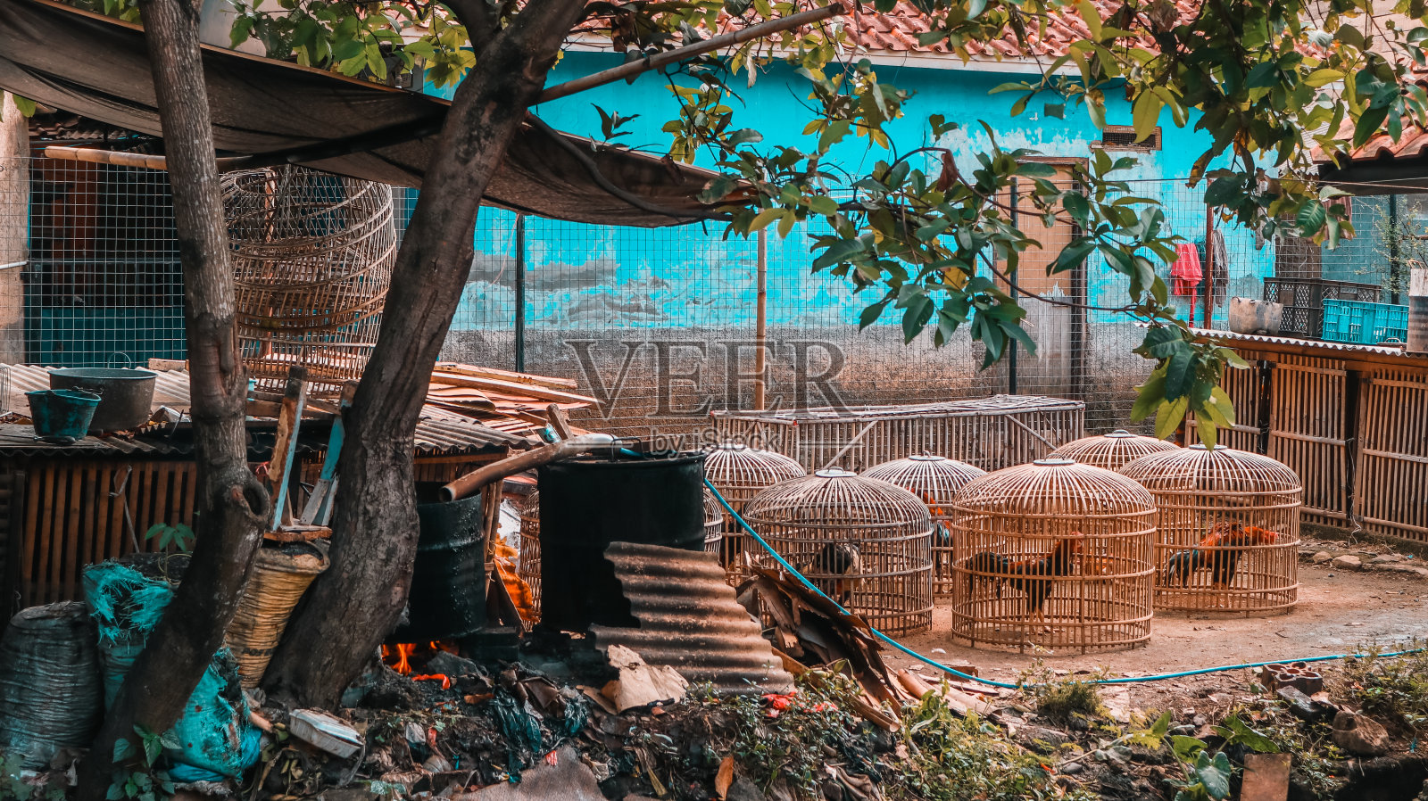 自然村庄照片摄影图片