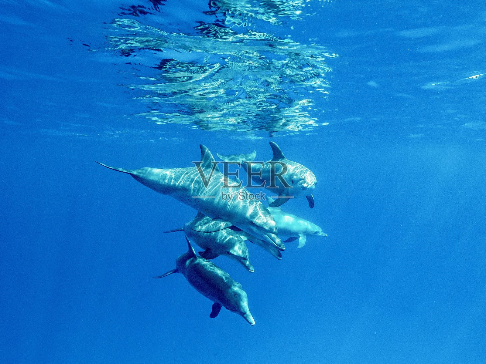 蓝色的湖照片摄影图片