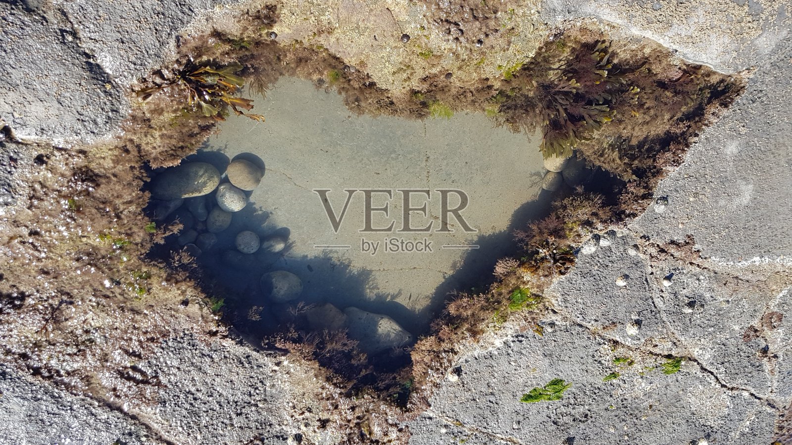 心形的岩石池。照片摄影图片