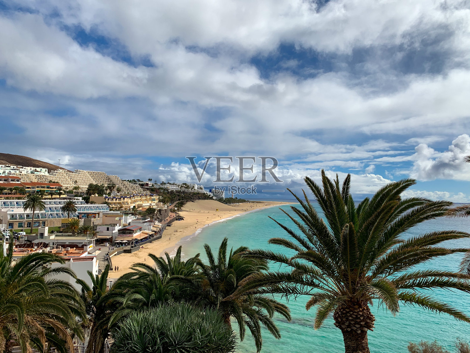 从Morro Jable上俯瞰，椰枣树和大西洋照片摄影图片