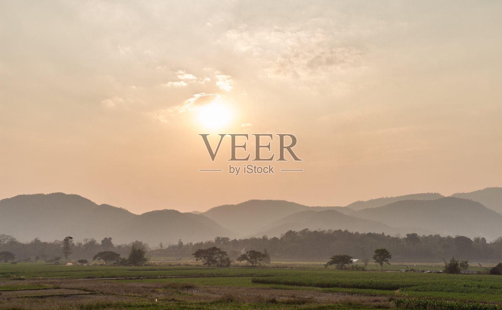 傍晚的现场气氛照片摄影图片