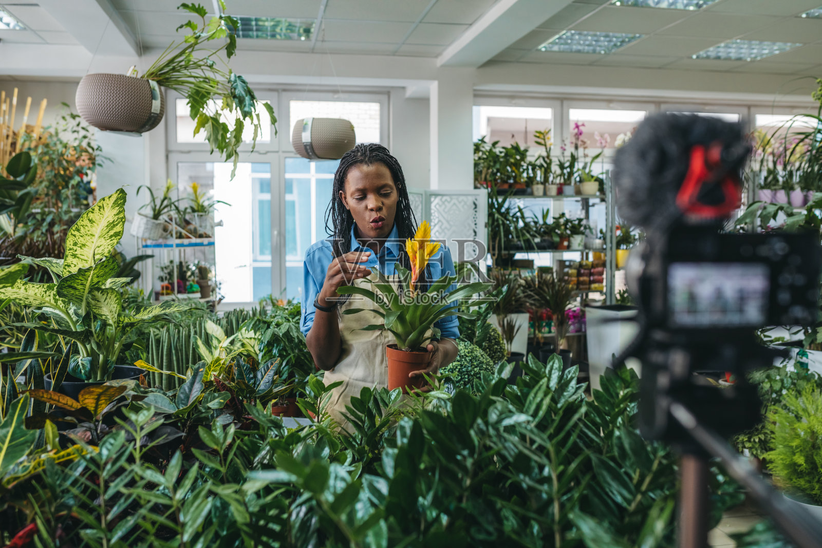 年轻女子在温室做视频照片摄影图片