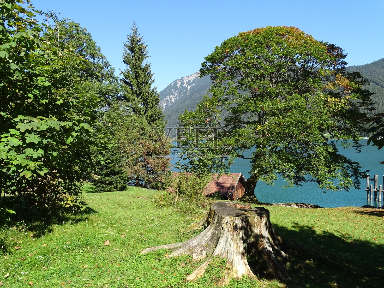 在奥地利蒂洛尔的施瓦兹和因斯布鲁克附近的卡温德尔的阿钦湖，以及巴伐利亚边境——佩蒂绍和阿钦基希之间的徒步小径，在夏天经过Gaisalm照片摄影图片