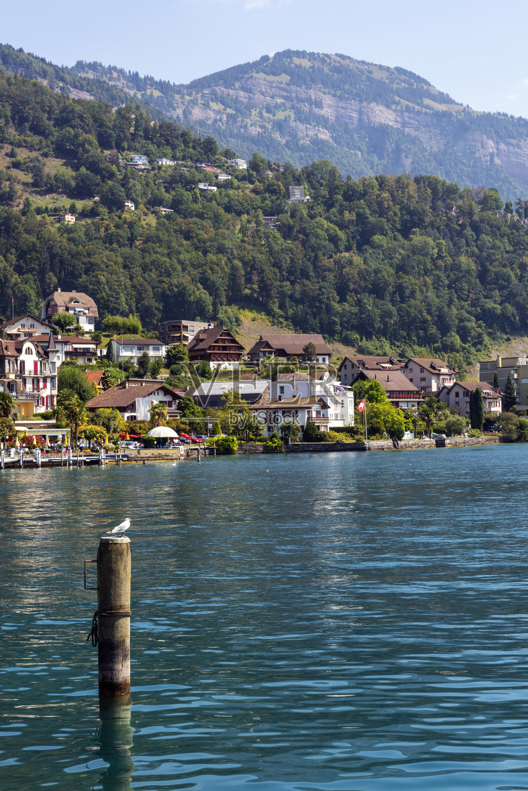 位于瑞士卢塞恩湖畔的弗卢伦镇照片摄影图片