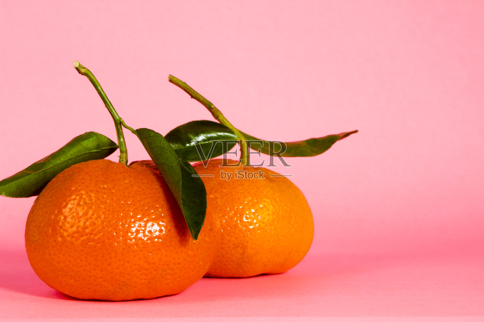 粉红底色上有绿叶的两个橘子照片摄影图片