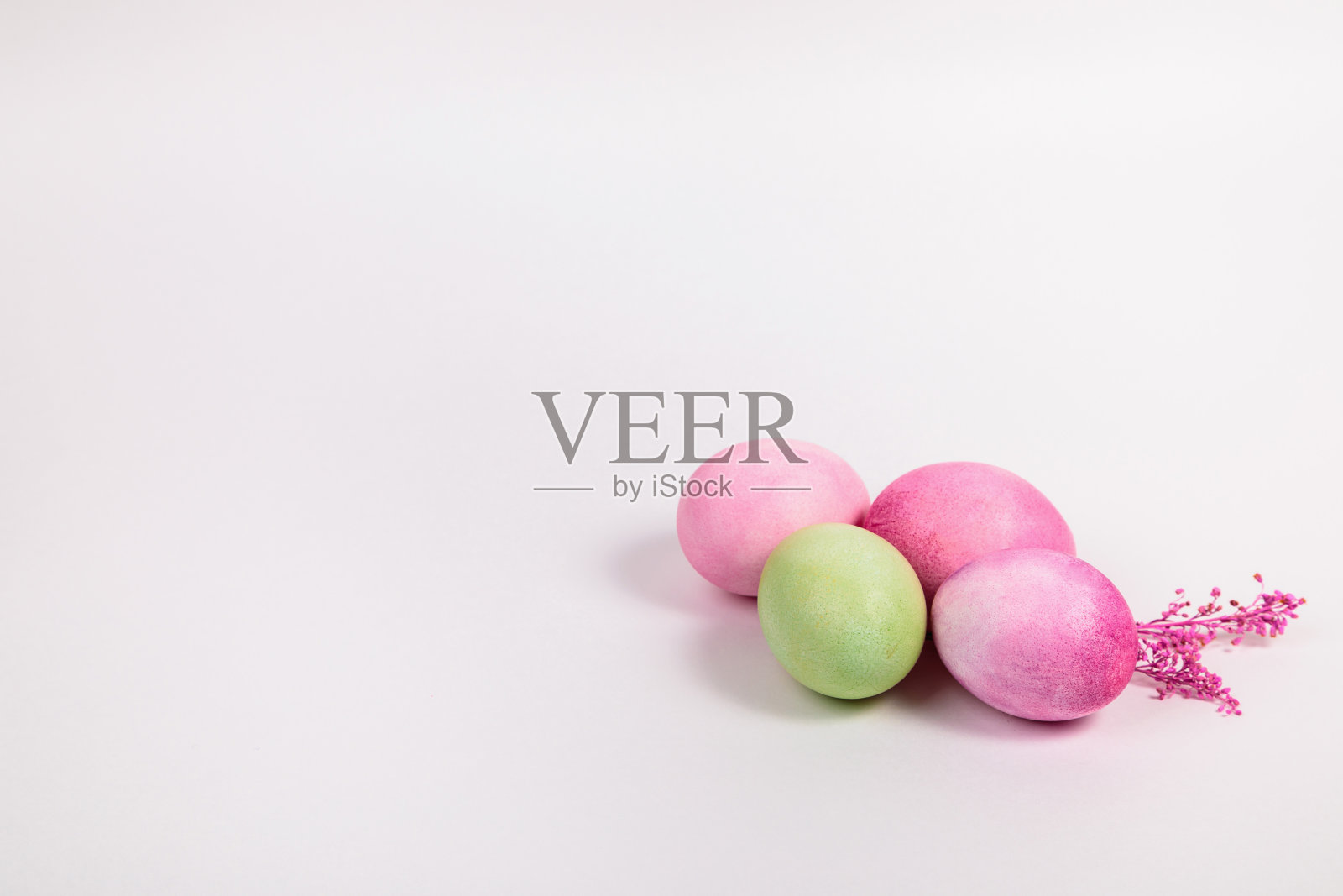 多色的鸡蛋与树枝，在白色的背景与文字的地方。照片摄影图片