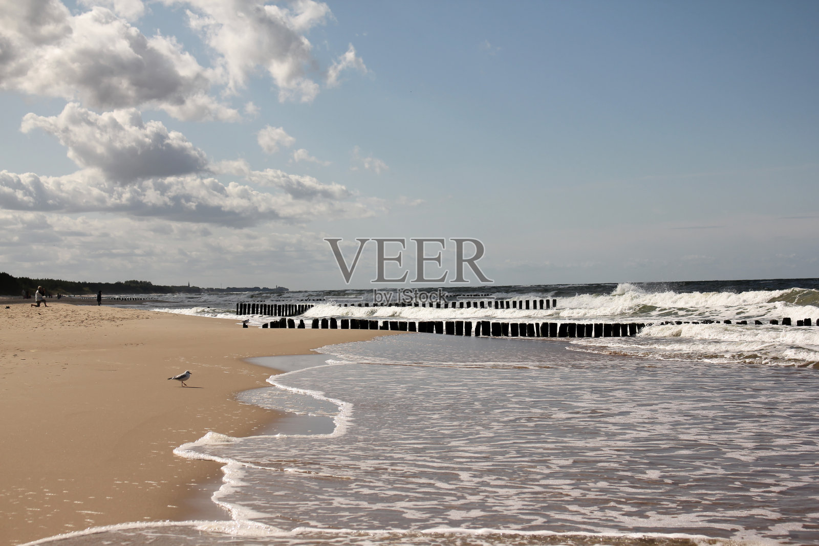 阳光明媚的夏天的一天。波罗的海海岸。照片摄影图片