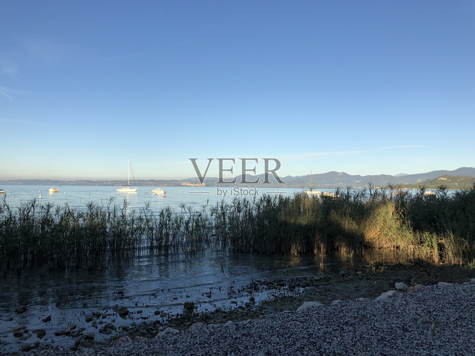 意大利加尔达威尼托巴尔多里诺湖——在秋天日出时，湖边的芦苇缝朝向加尔达照片摄影图片