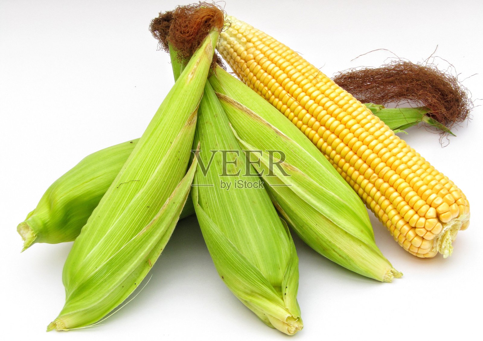 白色背景上的玉米照片摄影图片