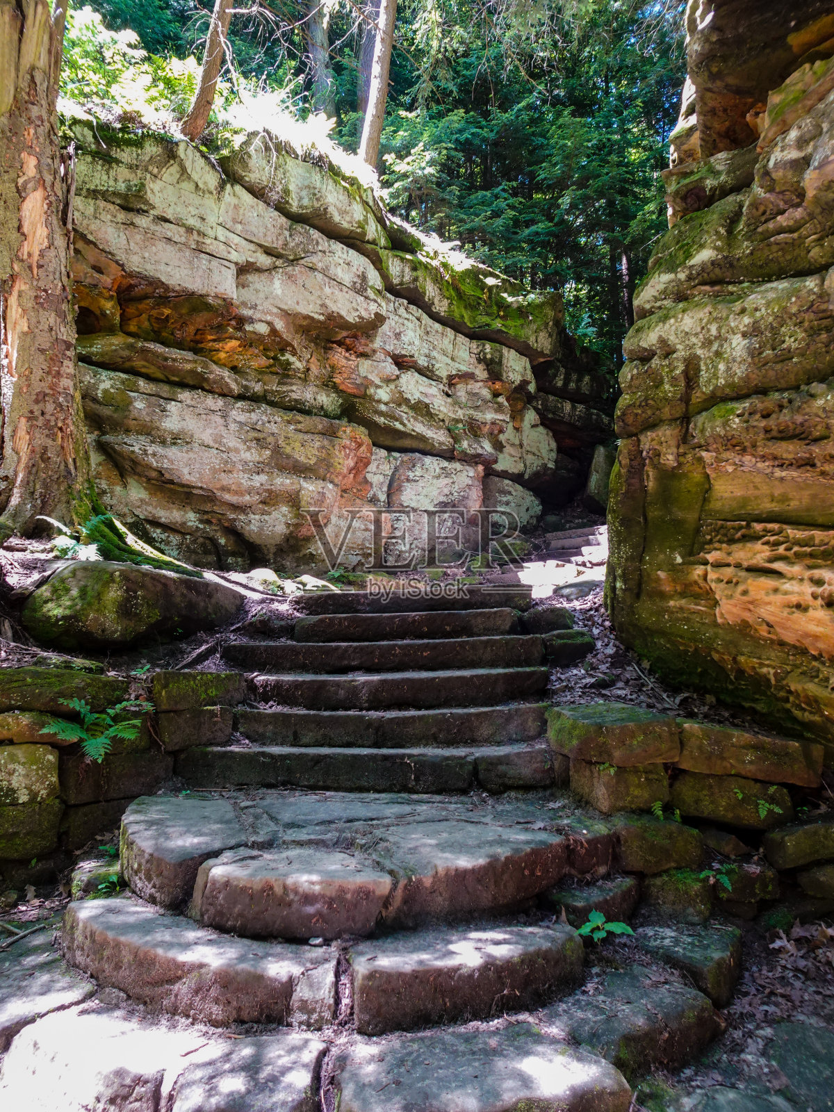 砂岩岩架，树木小径照片摄影图片