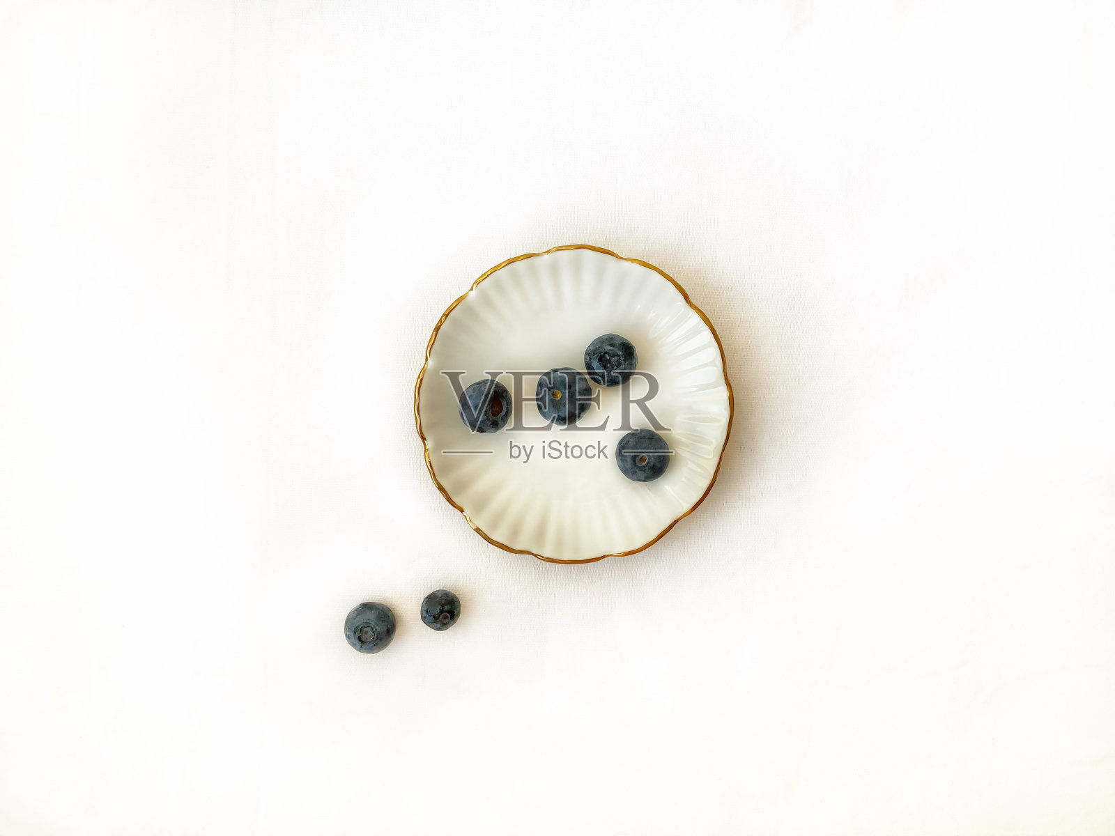 贝瑞在飞碟照片摄影图片