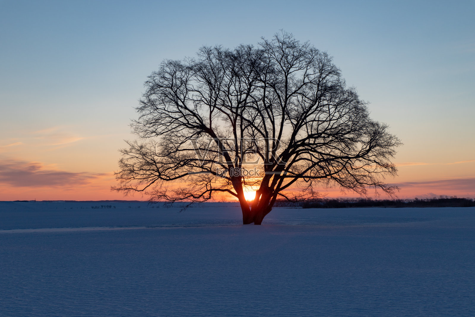 北海道东横所里冬日黎明的景色。照片摄影图片