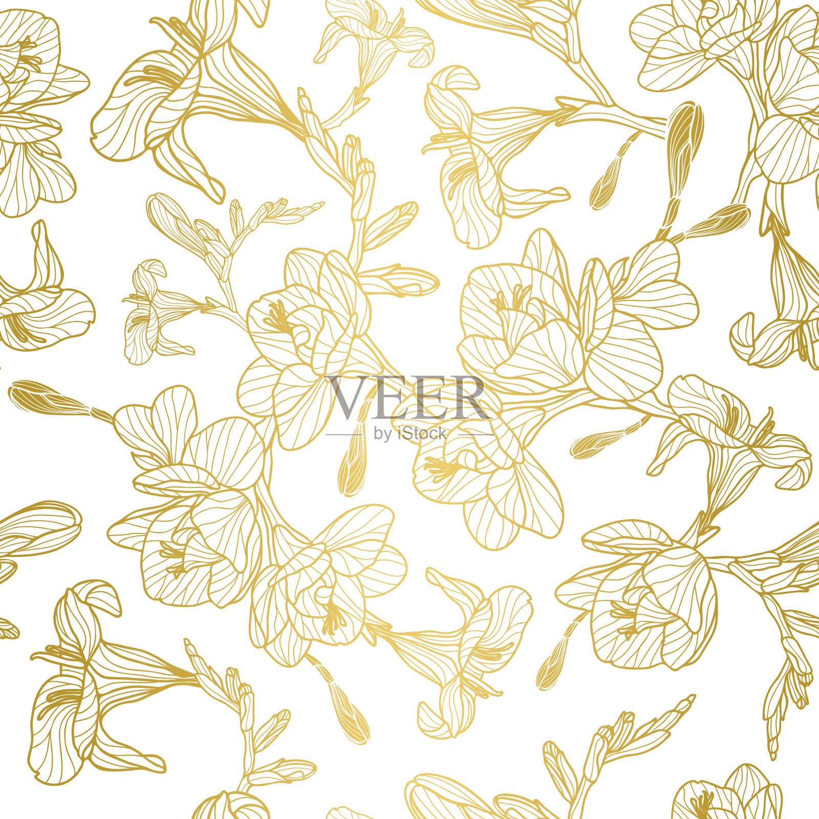 小苍兰无缝矢量模式。手绘金线设计。插画图片素材