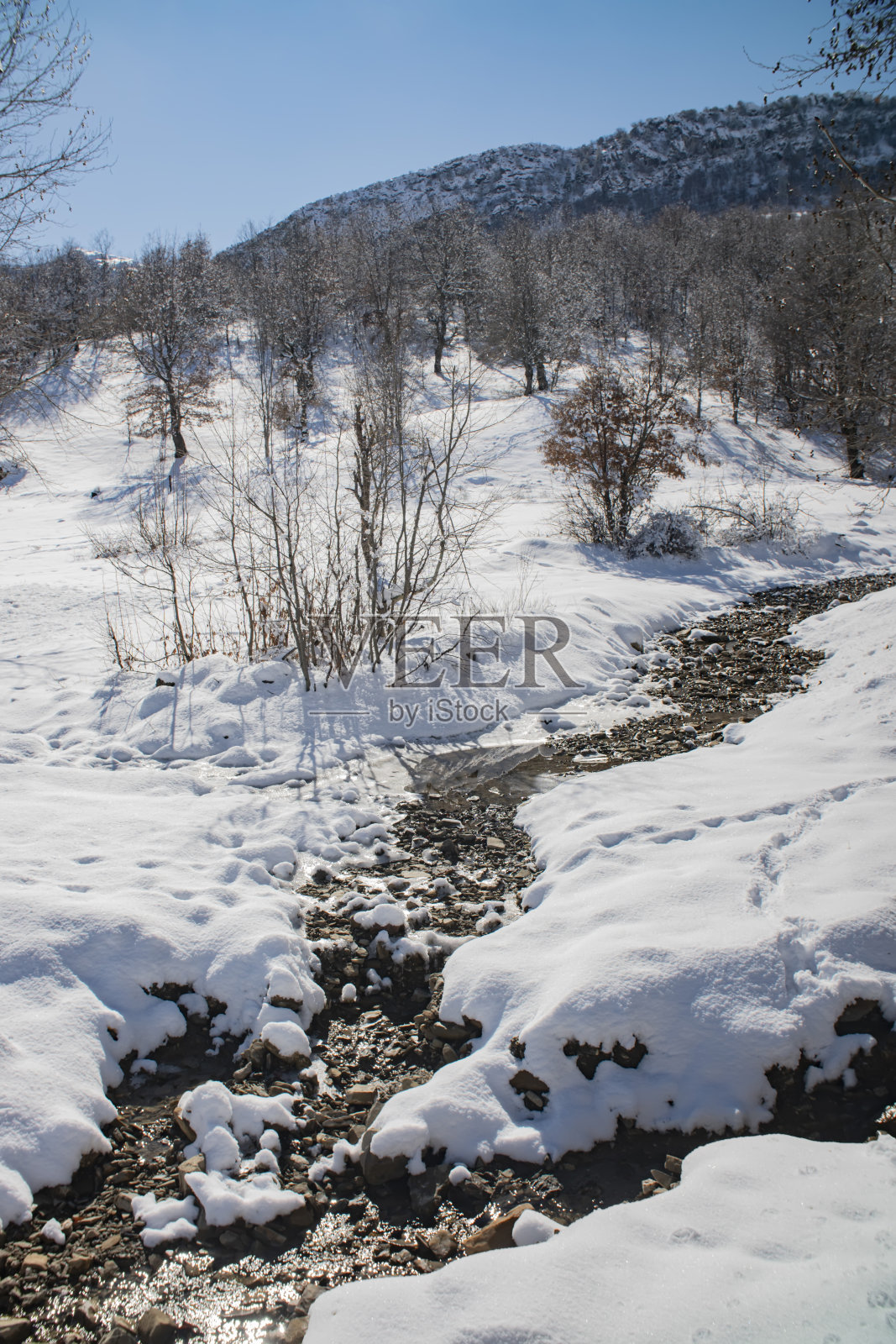 山间溪流在冬天的森林里照片摄影图片