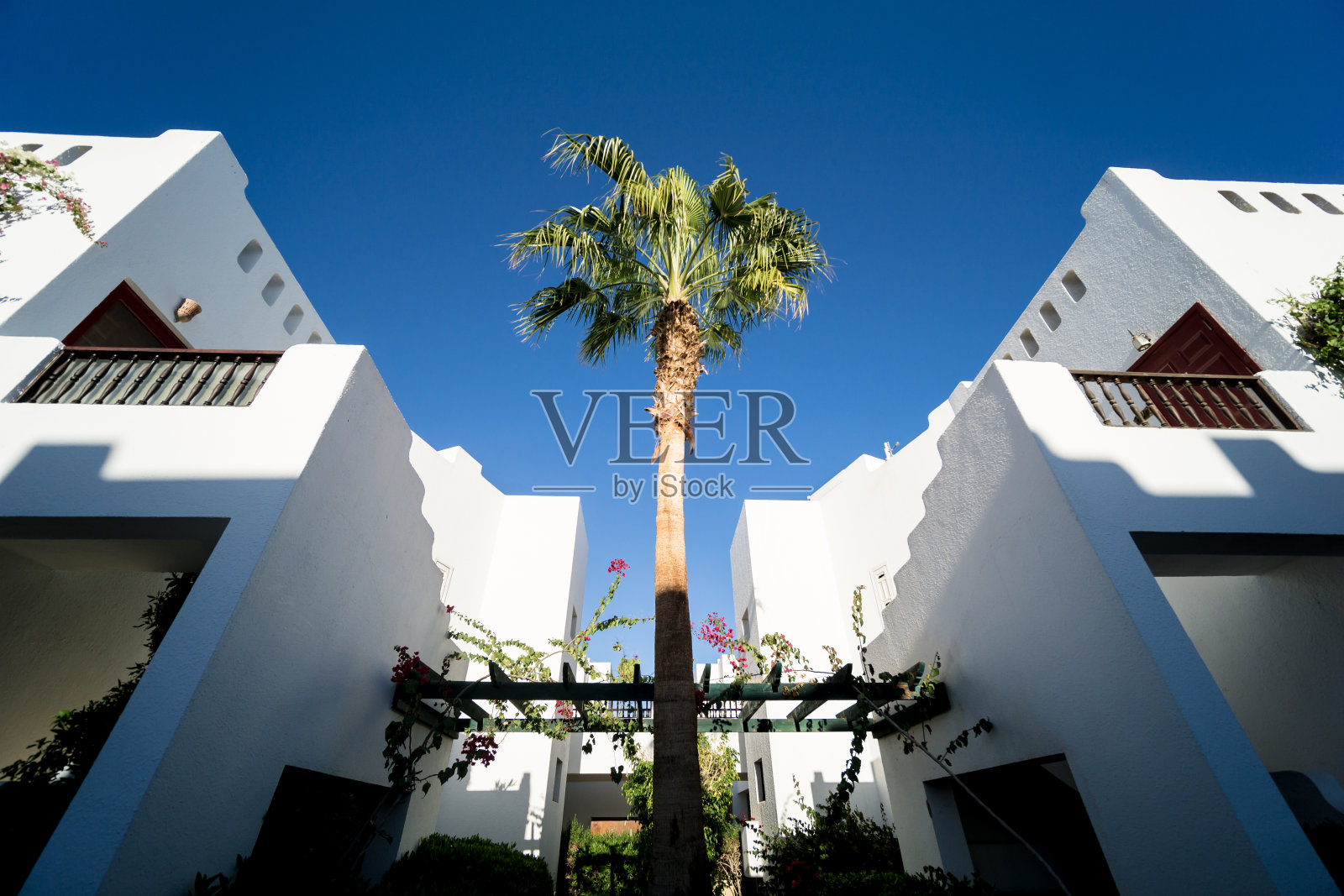 美丽的白色房子在热带花园和棕榈树照片摄影图片