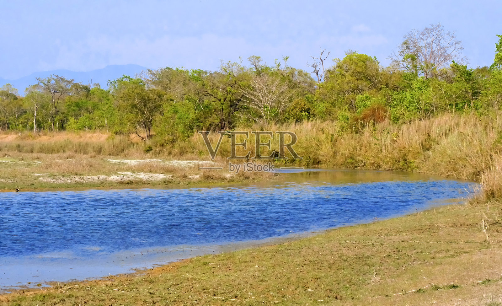 河流森林和河流，皇家Bardia国家公园，尼泊尔照片摄影图片