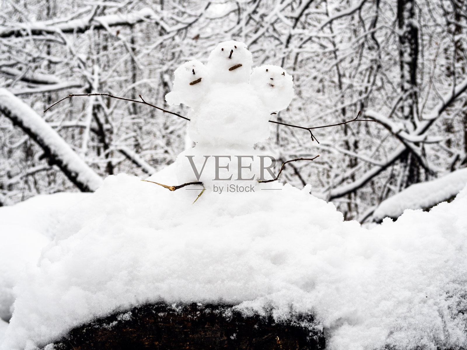 公园里的三头雪人在白雪飘落的树上照片摄影图片