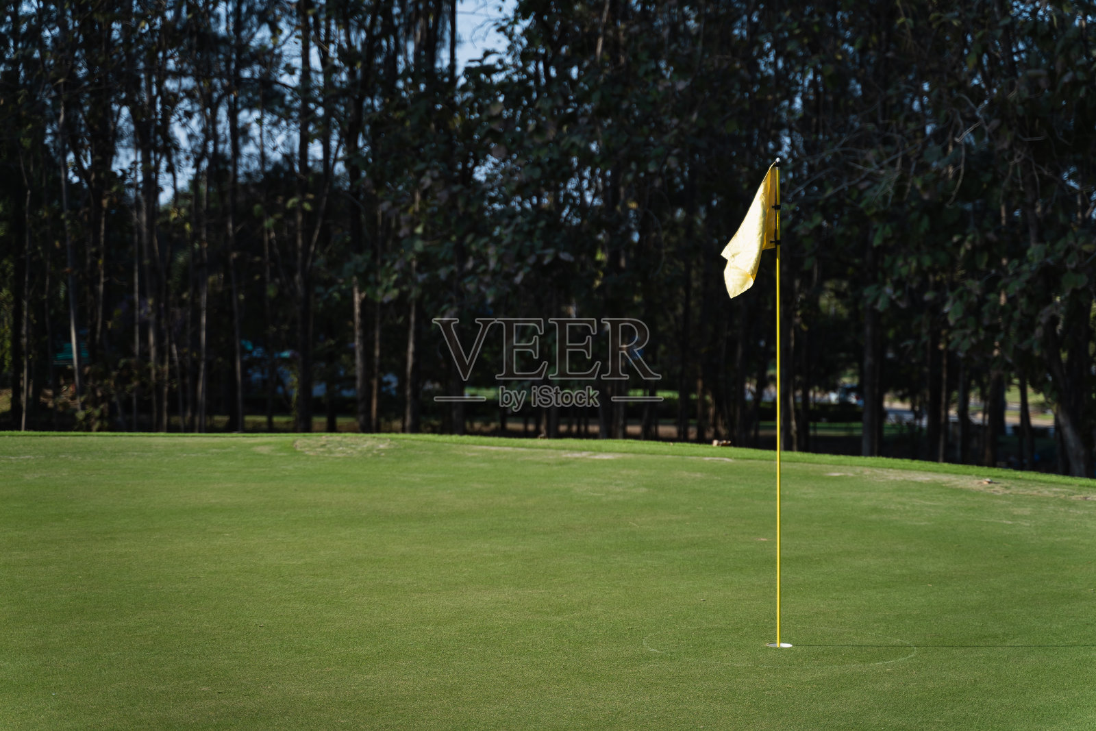 绿草如茵的高尔夫洞，运动理念照片摄影图片
