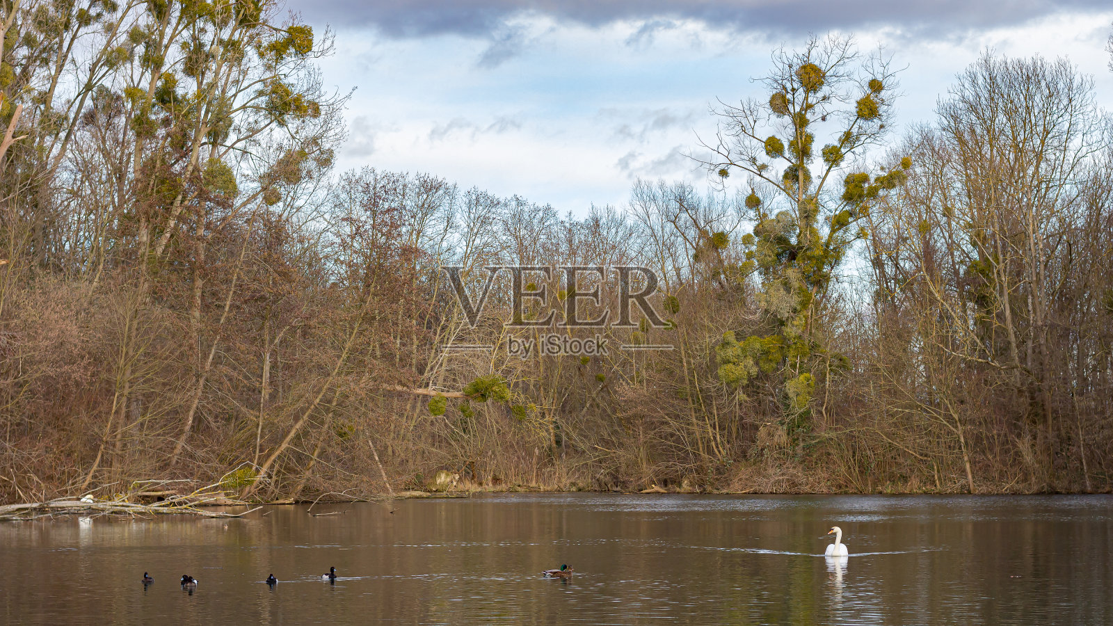 户外的好天气照片摄影图片