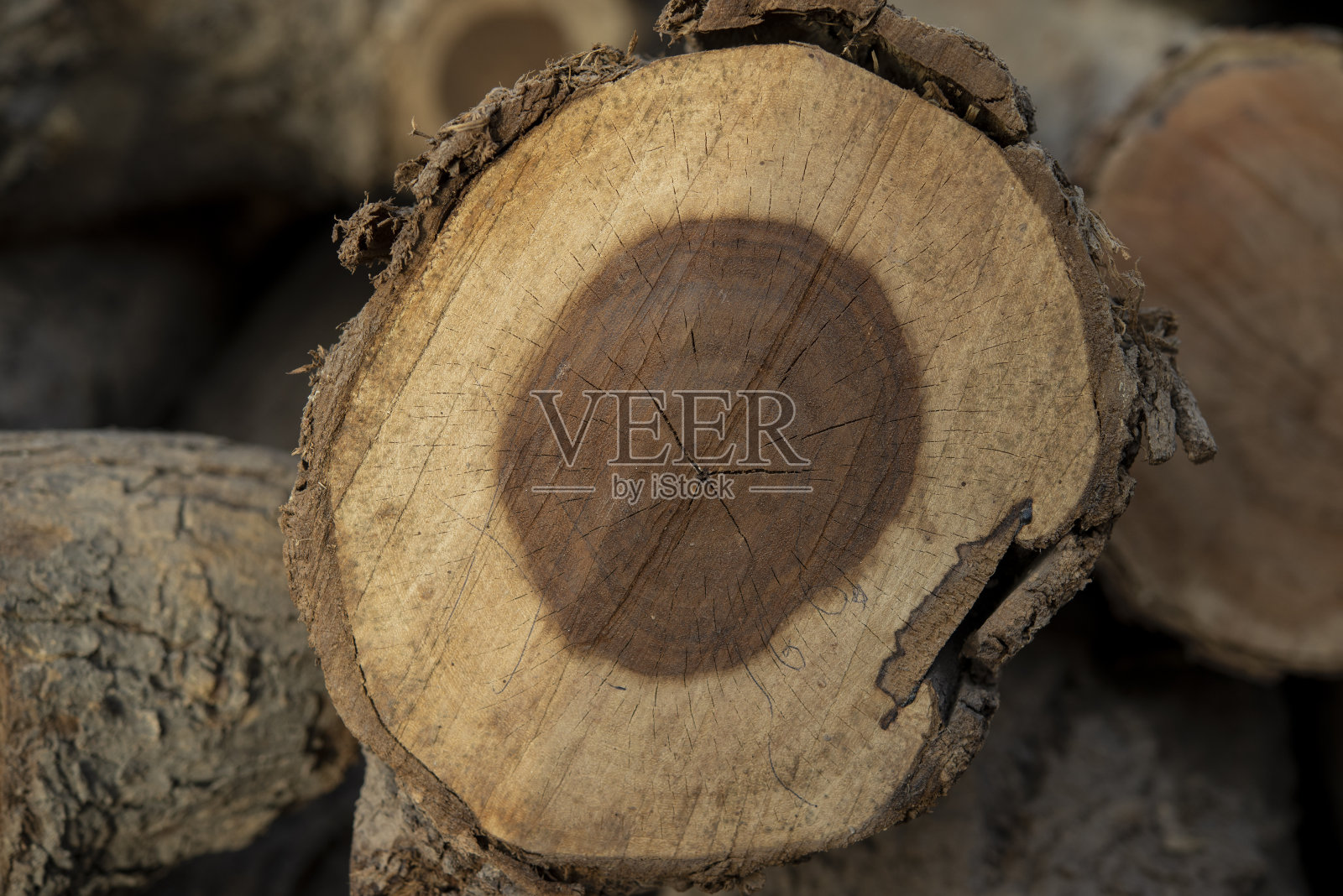 一堆堆天然的树木，构成自然的背景照片摄影图片