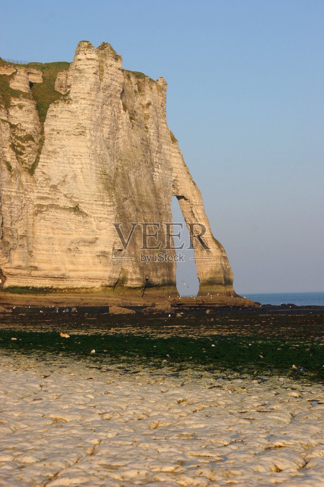 一张法国诺曼底。白色的石灰石悬崖和拱门照片摄影图片