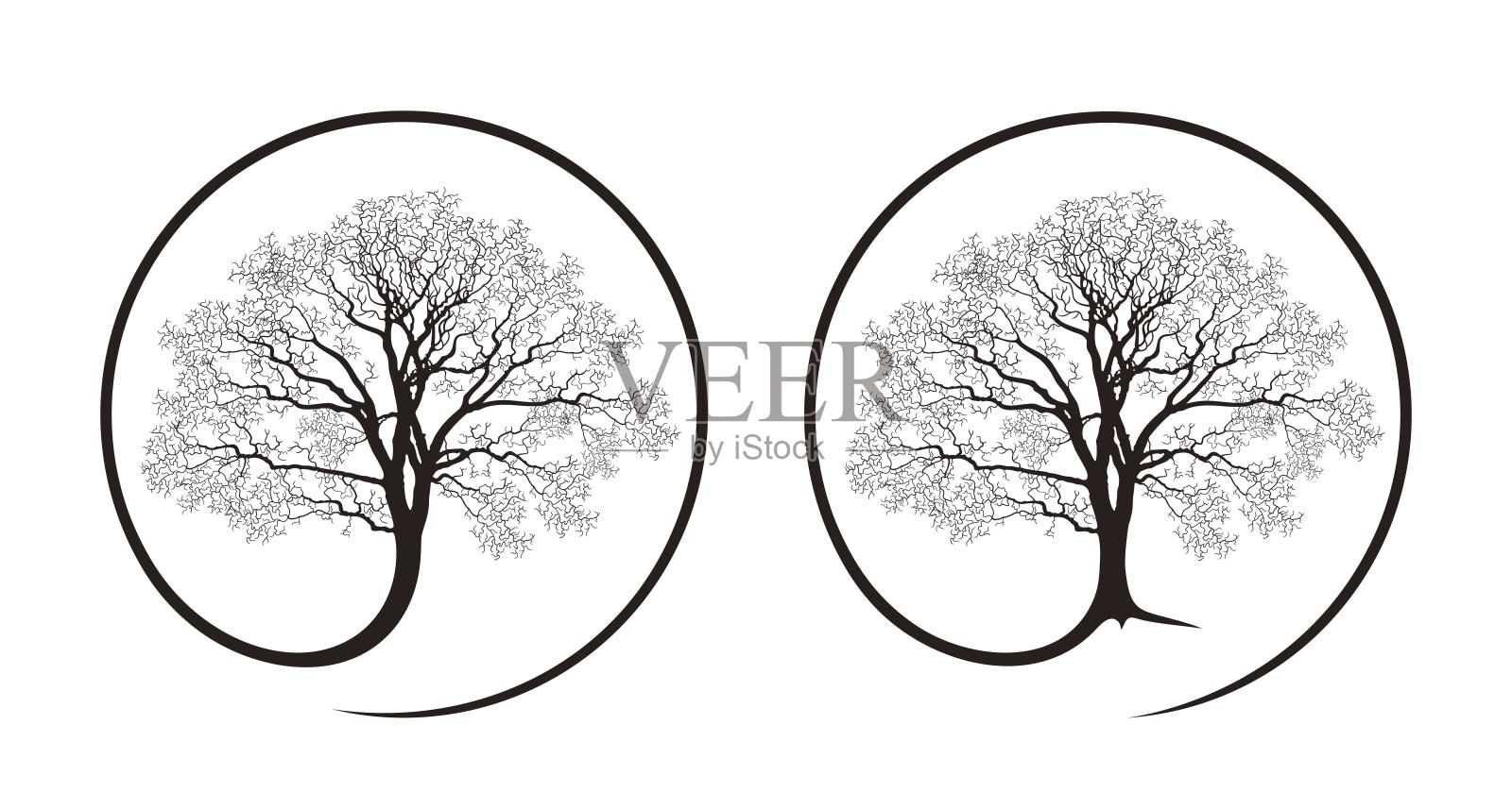 橡树的标志。白色背景上孤立的橡树插画图片素材