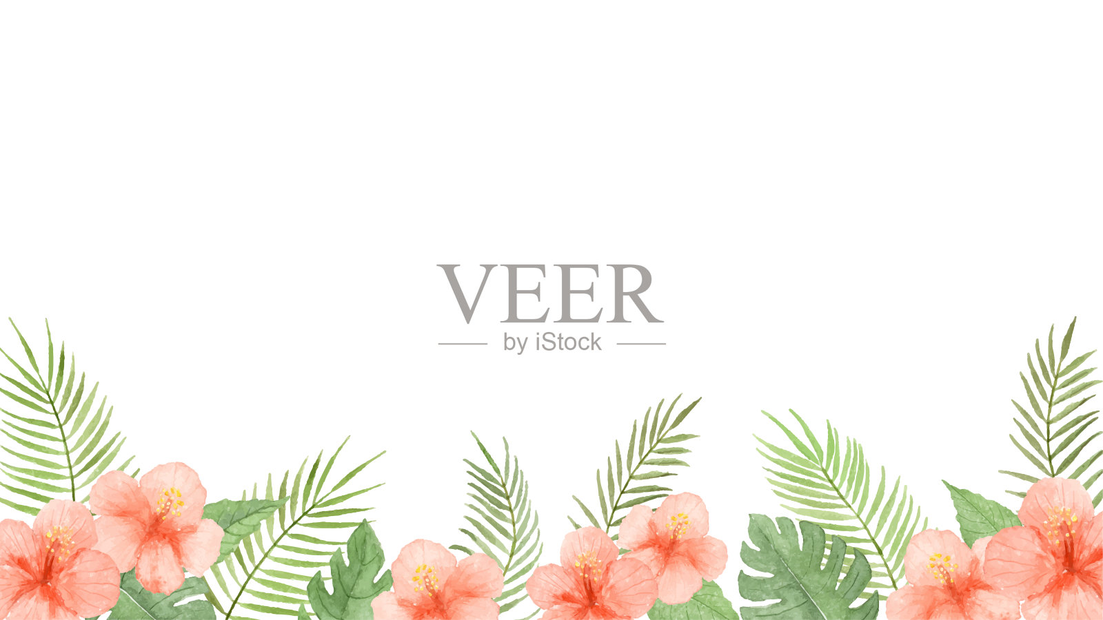 夏季植物框架画透明水彩。插画图片素材