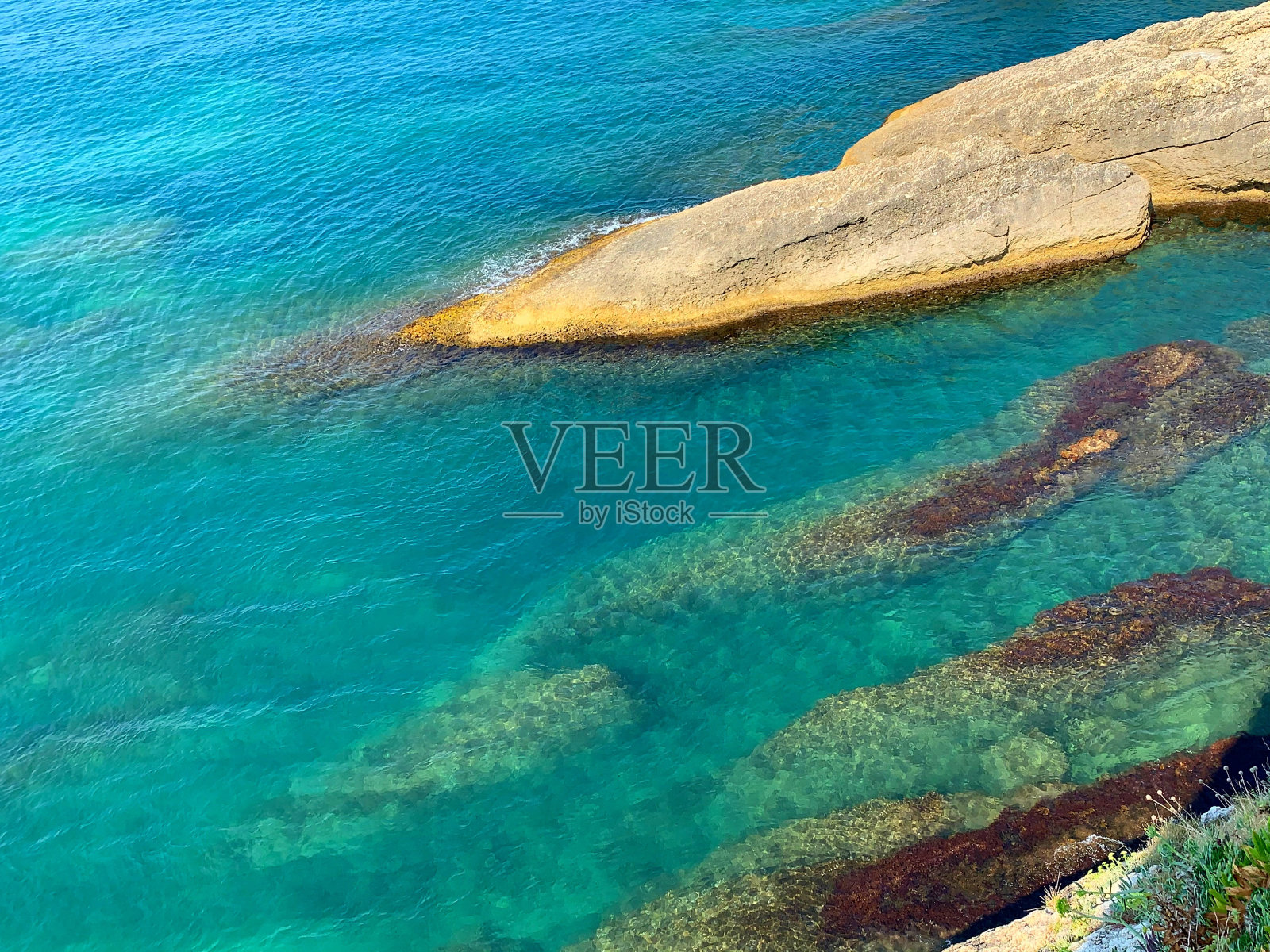 夏天天堂岛海岸的海滩上，绿松石般的海水晶莹剔透，波光粼粼。有海藻和藻类的蓝色海水。美丽的礁湖和岩石。照片摄影图片