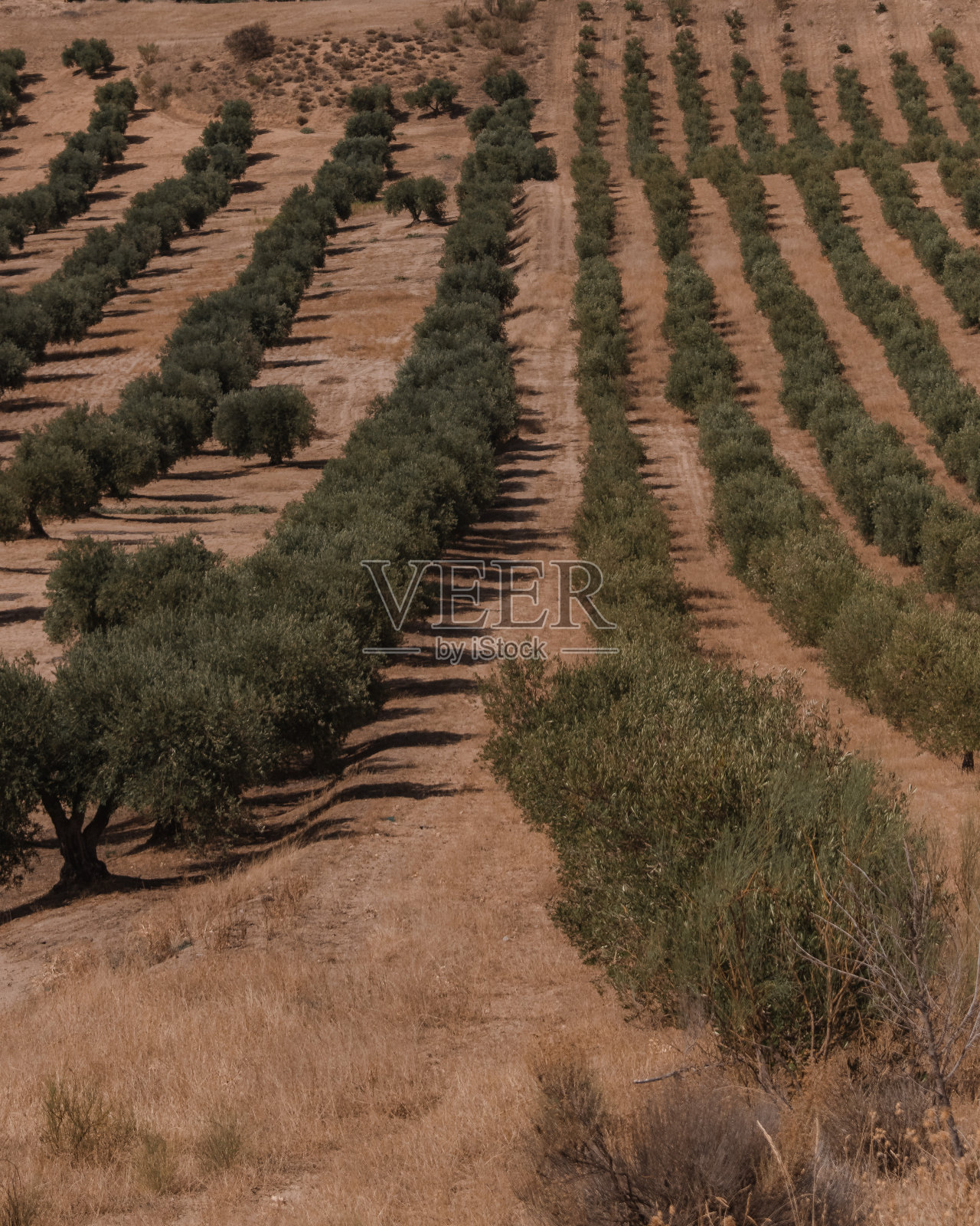 在乡间小路上行驶照片摄影图片