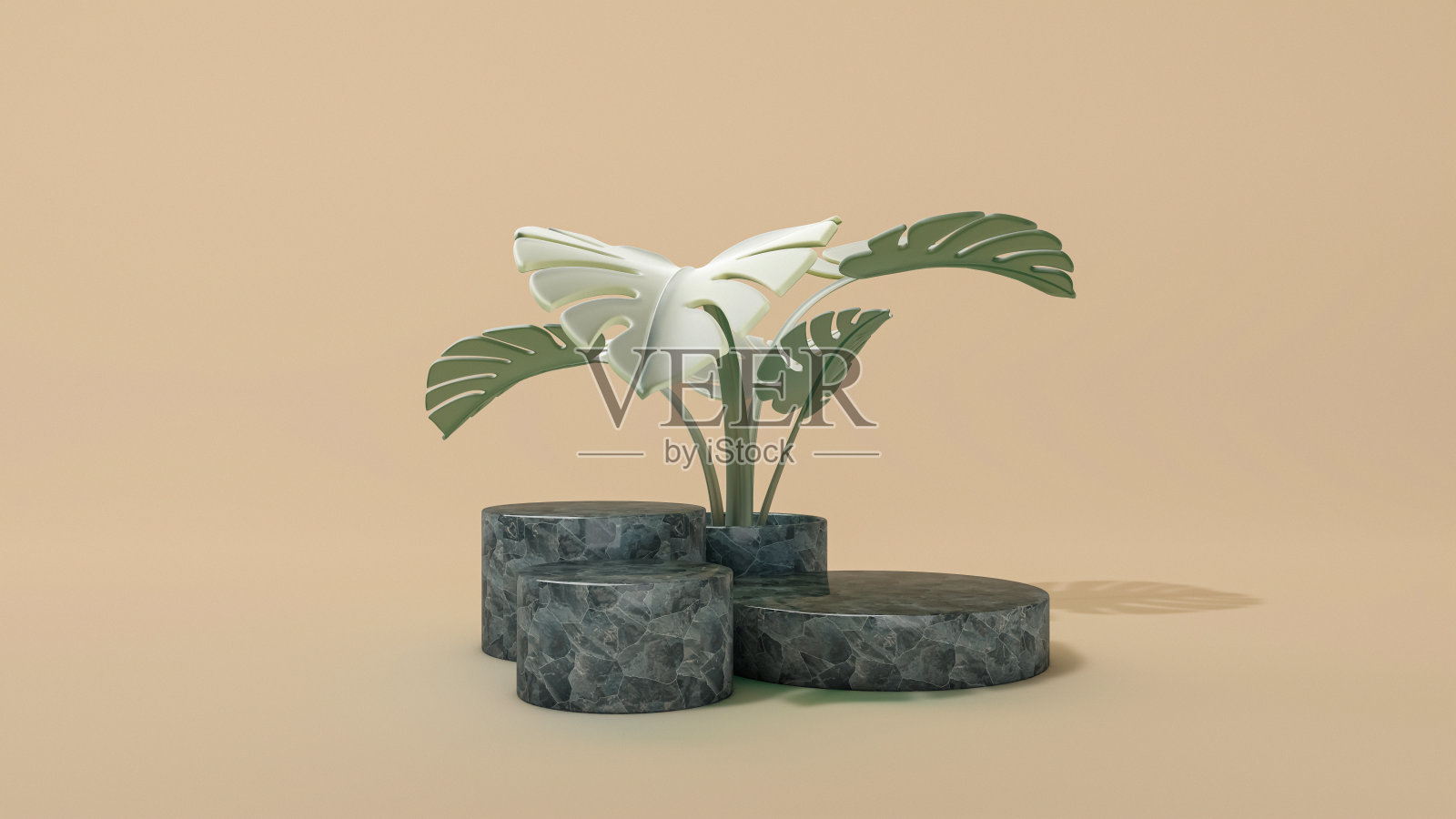 抽象的最小场景圆形讲台与怪物的叶子。三维演示照片摄影图片