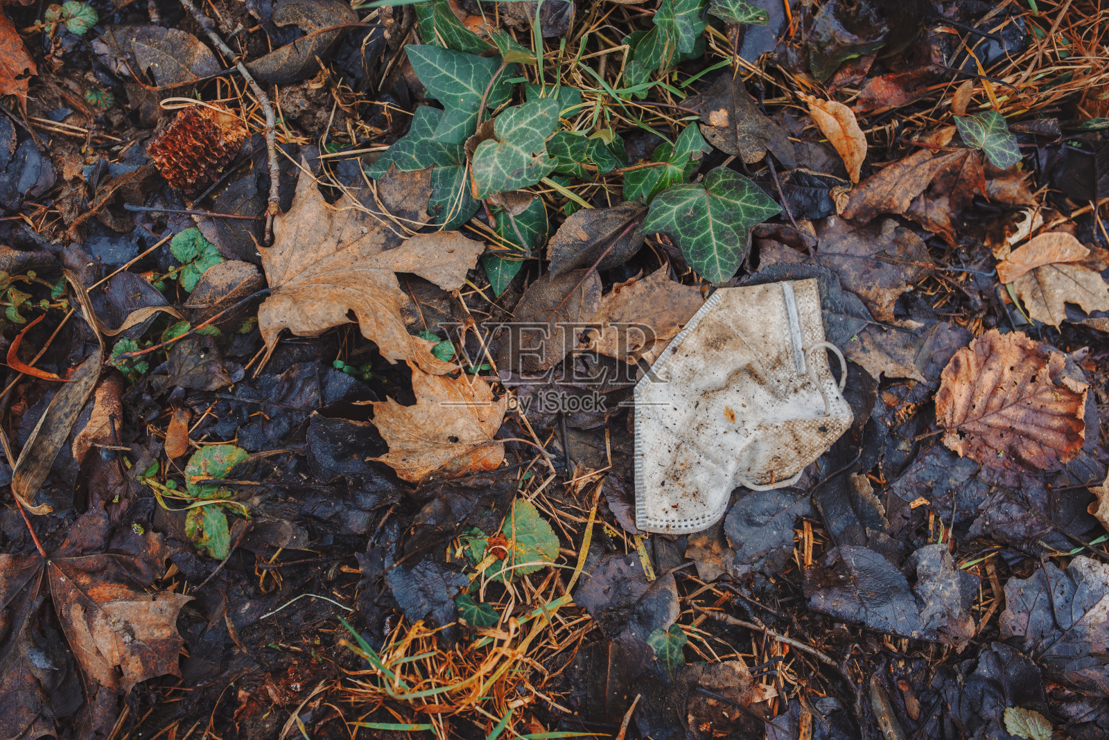 曾经被踩脏的呼吸器躺在泥泞的地上，散落在秋叶间。照片摄影图片