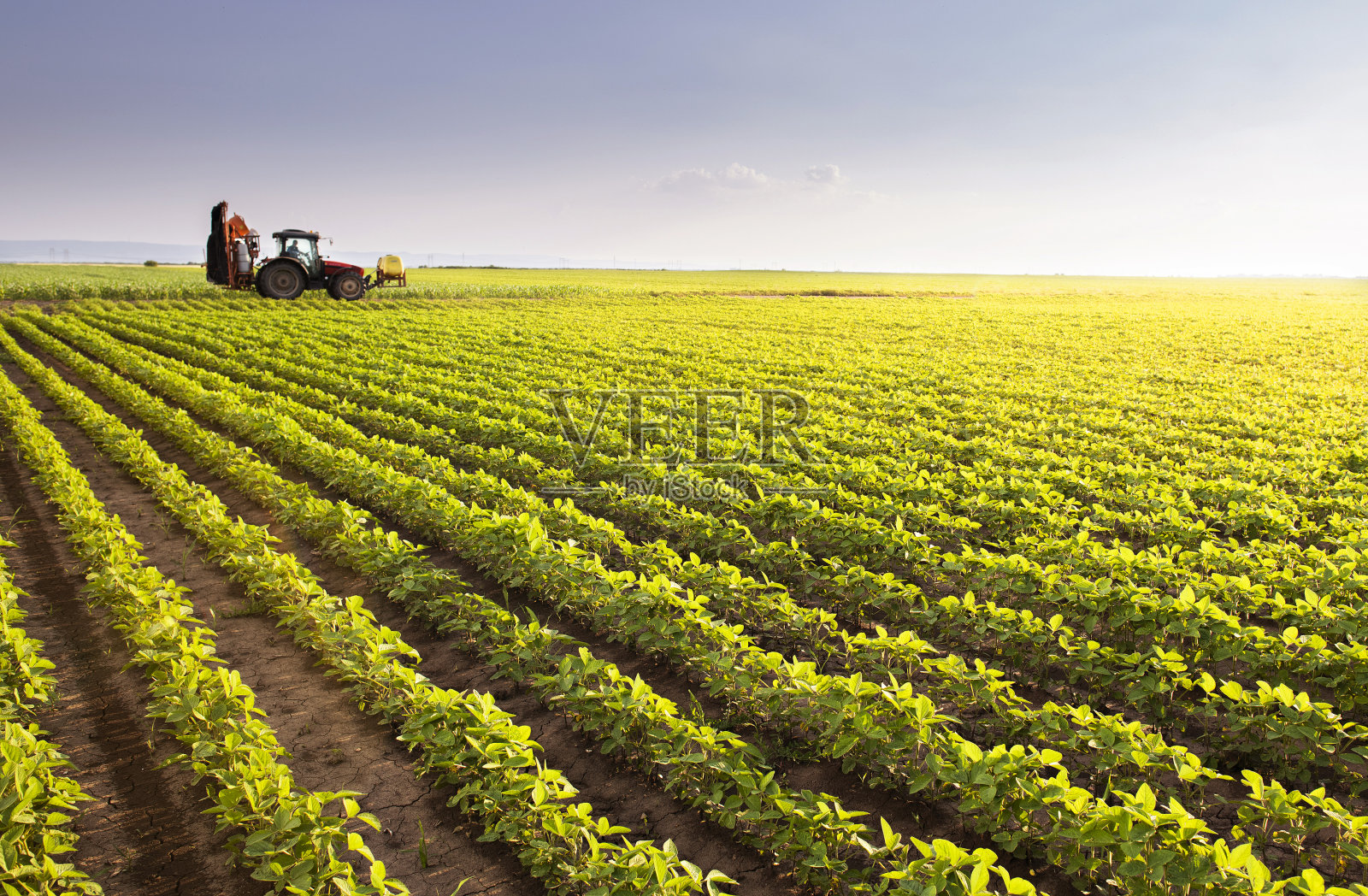 拖拉机用喷雾器在大豆田喷洒农药照片摄影图片