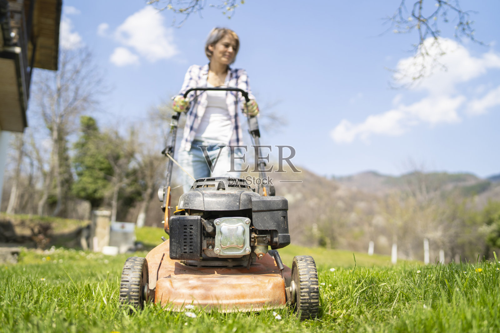 一个女人在后院用割草机割草照片摄影图片