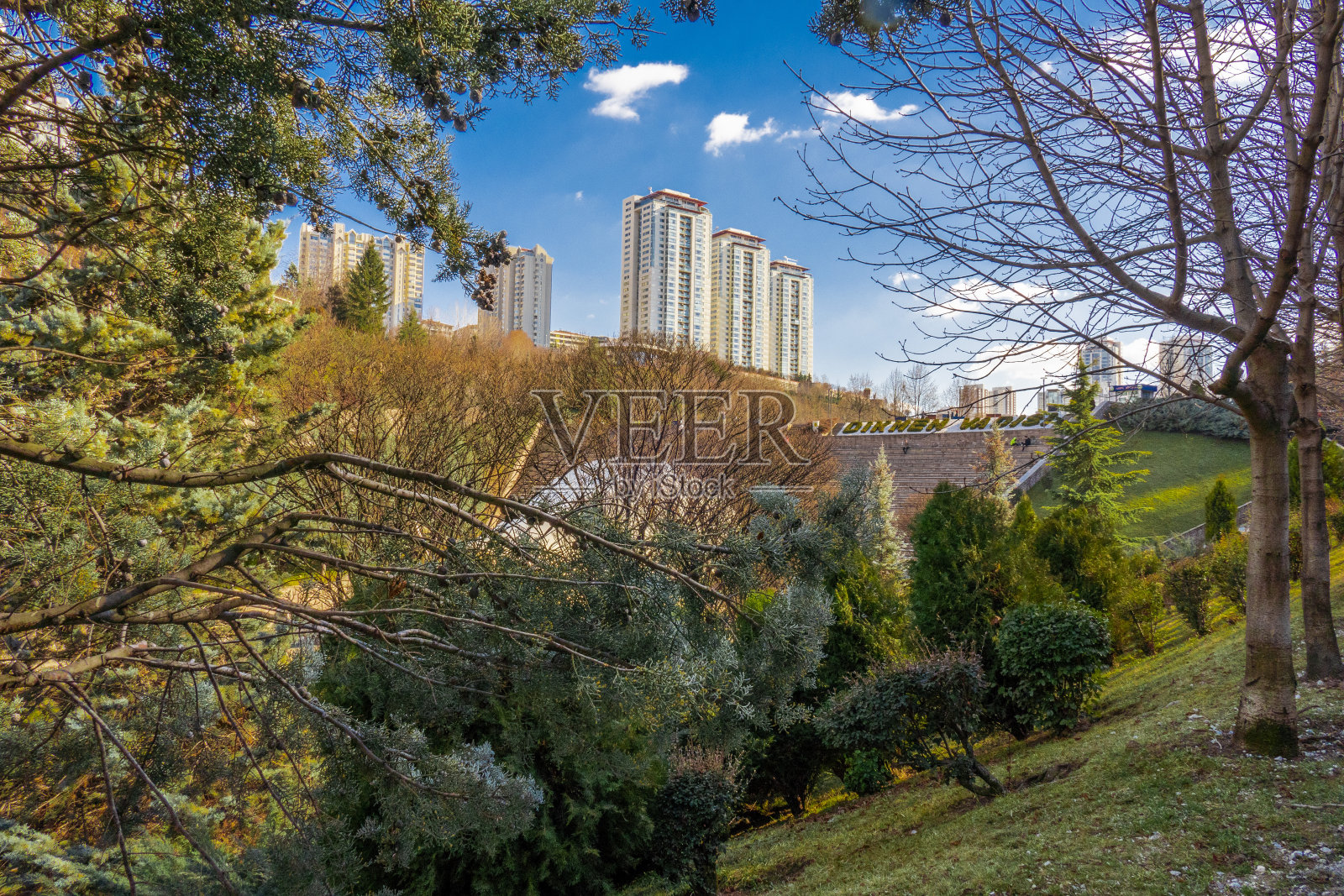 公园照片摄影图片