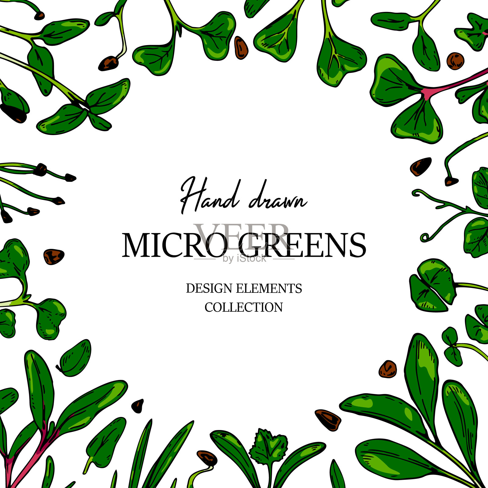 手绘微型绿色植物架。健康素食和素食食品设计。矢量插图在彩色素描风格设计模板素材