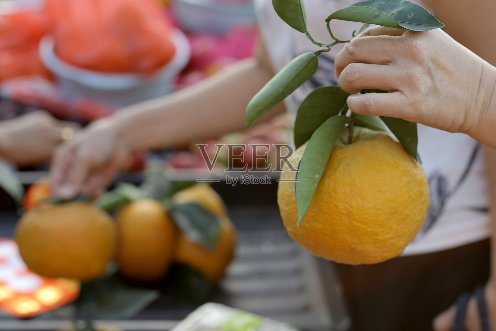 春节早市照片摄影图片